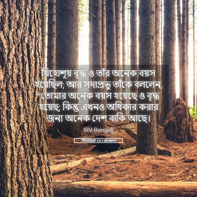 Picture 05 - যিহোচূৱা 13:1 BENIRV - যিহোশূয় বৃদ্ধ ও - Bible Verse Picture