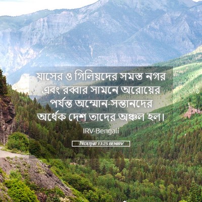 Picture 05 - যিহোচূৱা 13:25 BENIRV - যাসের ও গিলিয়দের - Bible Verse Picture