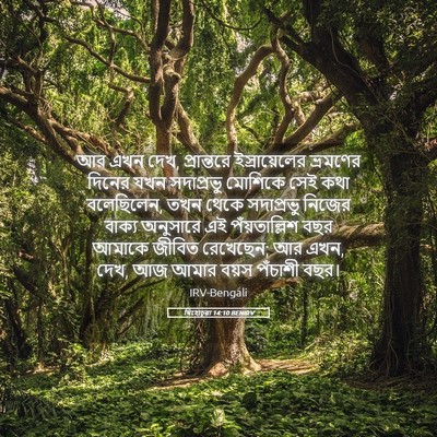 Picture 05 - যিহোচূৱা 14:10 BENIRV - আর এখন দেখ, - Bible Verse Picture
