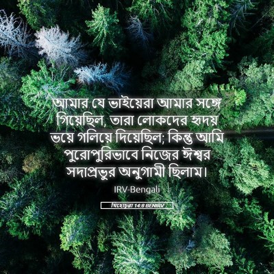 Picture 05 - যিহোচূৱা 14:8 BENIRV - আমার যে ভাইয়েরা - Bible Verse Picture