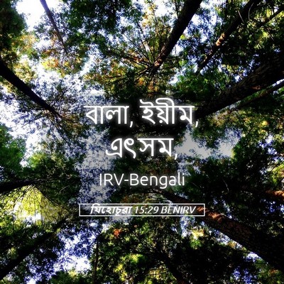 Picture 05 - যিহোচূৱা 15:29 BENIRV - বালা, ইয়ীম, - Bible Verse Picture