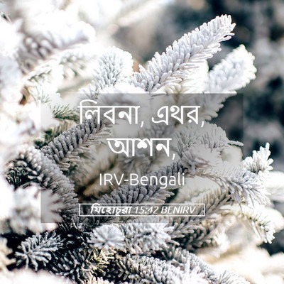 Picture 05 - যিহোচূৱা 15:42 BENIRV - লিবনা, এথর, - Bible Verse Picture