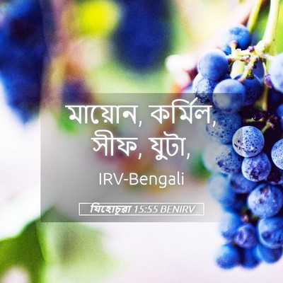 Picture 05 - যিহোচূৱা 15:55 BENIRV - মায়োন, কর্মিল, - Bible Verse Picture