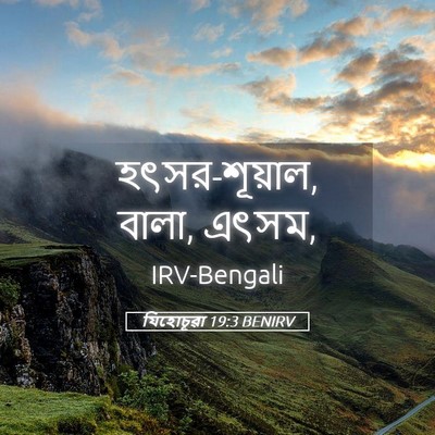 Picture 05 - যিহোচূৱা 19:3 BENIRV - হৎসর-শূয়াল, বালা, - Bible Verse Picture