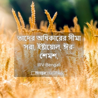 Picture 05 - যিহোচূৱা 19:41 BENIRV - তাদের অধিকারের - Bible Verse Picture