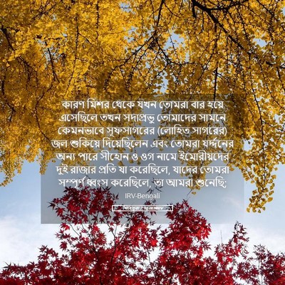 Picture 05 - যিহোচূৱা 2:10 BENIRV - কারণ মিশর থেকে যখন - Bible Verse Picture