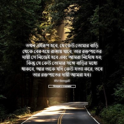 Picture 05 - যিহোচূৱা 2:19 BENIRV - তখন এইরূপ হবে, যে - Bible Verse Picture
