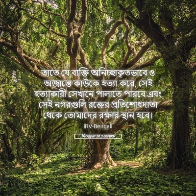Picture 05 - যিহোচূৱা 20:3 BENIRV - তাতে যে ব্যক্তি - Bible Verse Picture