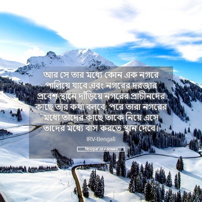 Picture 05 - যিহোচূৱা 20:4 BENIRV - আর সে তার মধ্যে কোন - Bible Verse Picture