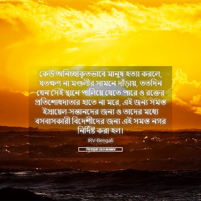 Picture 05 - যিহোচূৱা 20:9 BENIRV - কেউ - Bible Verse Picture