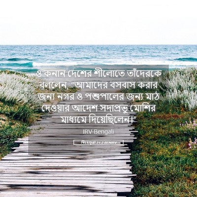 Picture 05 - যিহোচূৱা 21:2 BENIRV - ও কনান দেশের - Bible Verse Picture