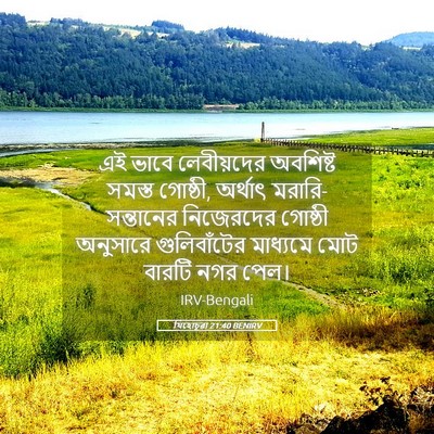 Picture 05 - যিহোচূৱা 21:40 BENIRV - এই ভাবে লেবীয়দের - Bible Verse Picture