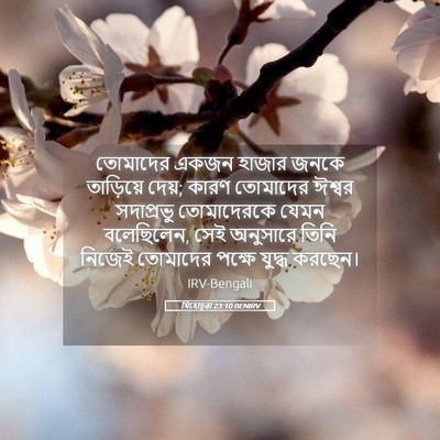 Picture 05 - যিহোচূৱা 23:10 BENIRV - তোমাদের একজন - Bible Verse Picture