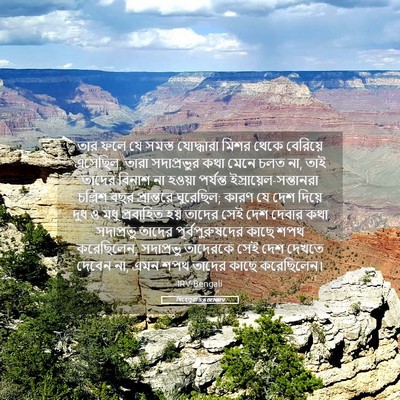 Picture 05 - যিহোচূৱা 5:6 BENIRV - তার ফলে যে সমস্ত - Bible Verse Picture