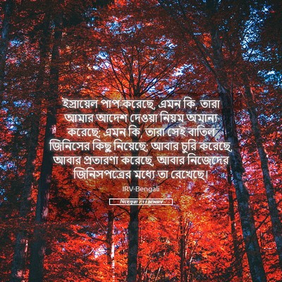 Picture 05 - যিহোচূৱা 7:11 BENIRV - ইস্রায়েল পাপ - Bible Verse Picture