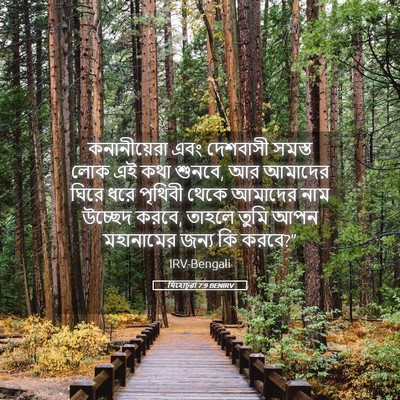 Picture 05 - যিহোচূৱা 7:9 BENIRV - কনানীয়েরা এবং - Bible Verse Picture