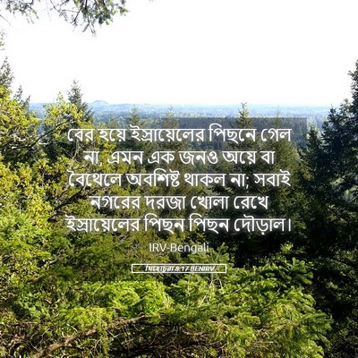 Picture 05 - যিহোচূৱা 8:17 BENIRV - বের হয়ে - Bible Verse Picture