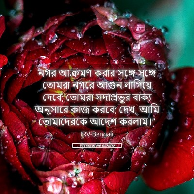 Picture 05 - যিহোচূৱা 8:8 BENIRV - নগর আক্রমণ করার - Bible Verse Picture