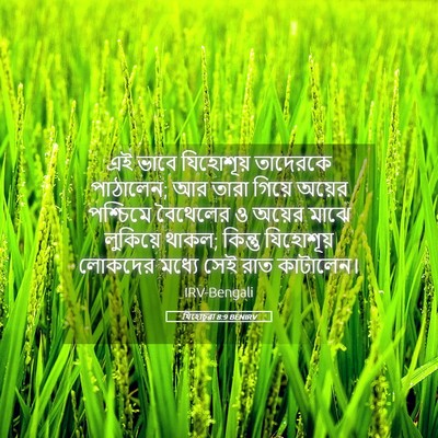 Picture 05 - যিহোচূৱা 8:9 BENIRV - এই ভাবে যিহোশূয় - Bible Verse Picture