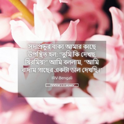 Picture 05 - যিৰিমিয়া 1:11 BENIRV - সদাপ্রভুর বাক্য - Bible Verse Picture