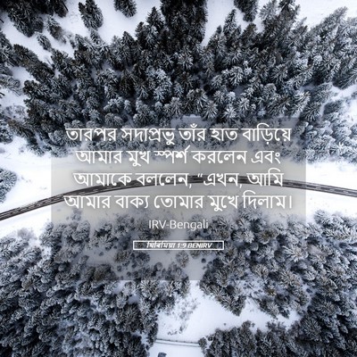 Picture 05 - যিৰিমিয়া 1:9 BENIRV - তারপর সদাপ্রভু - Bible Verse Picture