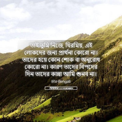 Picture 05 - যিৰিমিয়া 11:14 BENIRV - তাই তুমি নিজে, - Bible Verse Picture