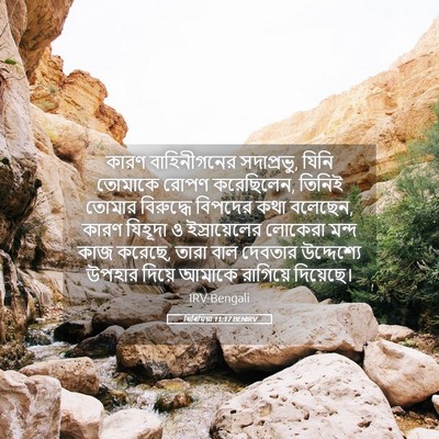 Picture 05 - যিৰিমিয়া 11:17 BENIRV - কারণ বাহিনীগনের - Bible Verse Picture
