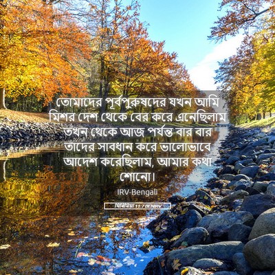 Picture 05 - যিৰিমিয়া 11:7 BENIRV - তোমাদের - Bible Verse Picture