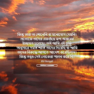Picture 05 - যিৰিমিয়া 11:8 BENIRV - কিন্তু তারা তা - Bible Verse Picture