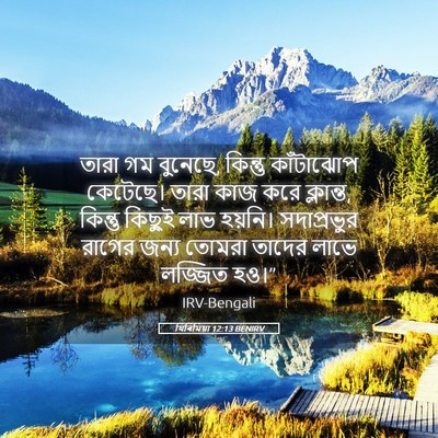 Picture 05 - যিৰিমিয়া 12:13 BENIRV - তারা গম বুনেছে, - Bible Verse Picture