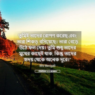 Picture 05 - যিৰিমিয়া 12:2 BENIRV - তুমিই তাদের রোপণ - Bible Verse Picture