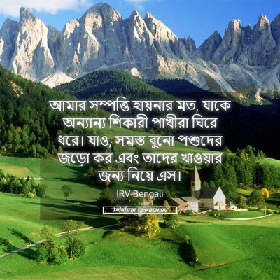 Picture 05 - যিৰিমিয়া 12:9 BENIRV - আমার সম্পত্তি - Bible Verse Picture