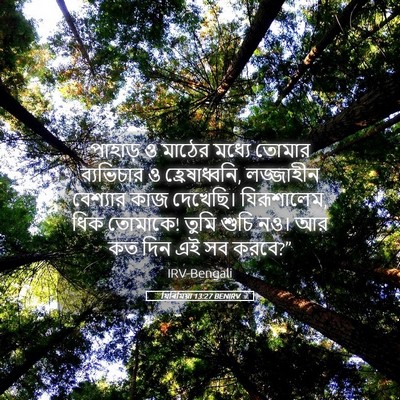 Picture 05 - যিৰিমিয়া 13:27 BENIRV - পাহাড় ও মাঠের - Bible Verse Picture
