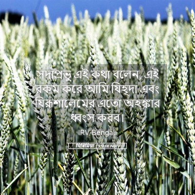 Picture 05 - যিৰিমিয়া 13:9 BENIRV - সদাপ্রভু এই কথা - Bible Verse Picture