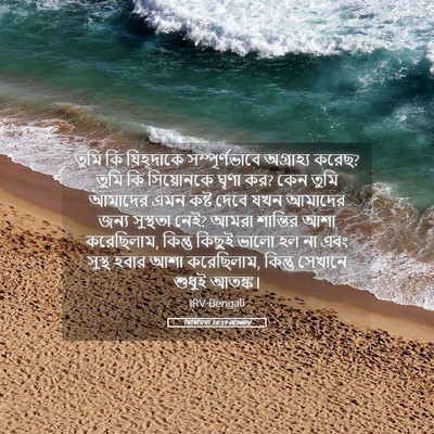 Picture 05 - যিৰিমিয়া 14:19 BENIRV - তুমি কি যিহূদাকে - Bible Verse Picture