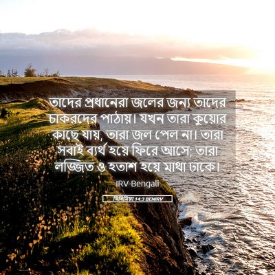 Picture 05 - যিৰিমিয়া 14:3 BENIRV - তাদের প্রধানেরা - Bible Verse Picture