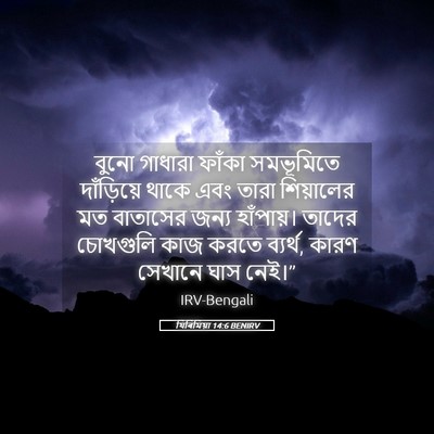 Picture 05 - যিৰিমিয়া 14:6 BENIRV - বুনো গাধারা ফাঁকা - Bible Verse Picture