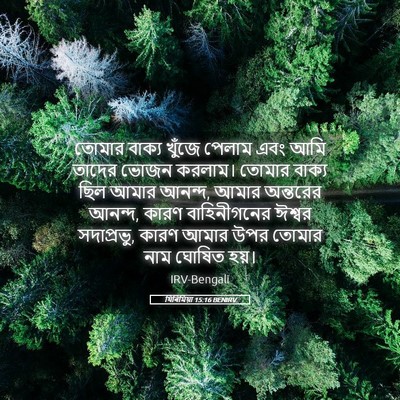 Picture 05 - যিৰিমিয়া 15:16 BENIRV - তোমার বাক্য খুঁজে - Bible Verse Picture