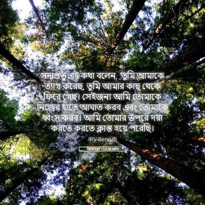 Picture 05 - যিৰিমিয়া 15:6 BENIRV - সদাপ্রভু এই কথা - Bible Verse Picture