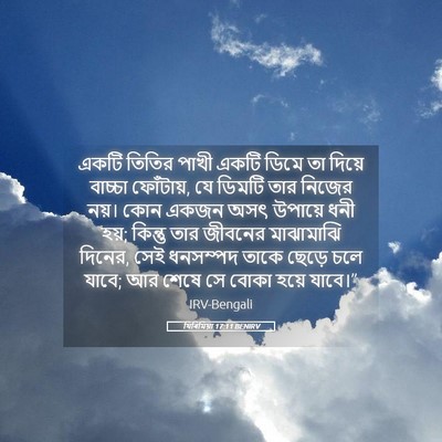 Picture 05 - যিৰিমিয়া 17:11 BENIRV - একটি তিতির পাখী - Bible Verse Picture