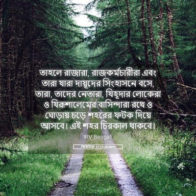 Picture 05 - যিৰিমিয়া 17:25 BENIRV - তাহলে রাজারা, - Bible Verse Picture