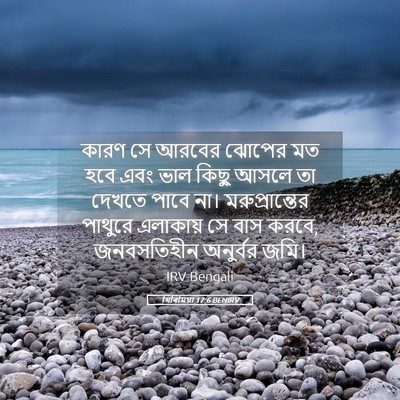 Picture 05 - যিৰিমিয়া 17:6 BENIRV - কারণ সে আরবের - Bible Verse Picture