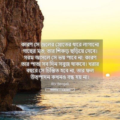 Picture 05 - যিৰিমিয়া 17:8 BENIRV - কারণ সে জলের - Bible Verse Picture