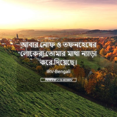 Picture 05 - যিৰিমিয়া 2:16 BENIRV - আবার নোফ ও - Bible Verse Picture