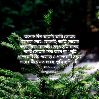Picture 05 - যিৰিমিয়া 2:20 BENIRV - অনেক দিন আগেই আমি - Bible Verse Picture