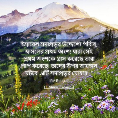 Picture 05 - যিৰিমিয়া 2:3 BENIRV - ইস্রায়েল - Bible Verse Picture