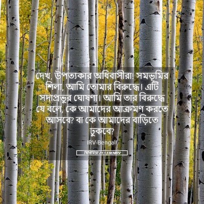 Picture 05 - যিৰিমিয়া 21:13 BENIRV - দেখ, উপত্যকার - Bible Verse Picture
