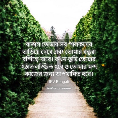 Picture 05 - যিৰিমিয়া 22:22 BENIRV - বাতাস তোমার সব - Bible Verse Picture