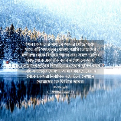 Picture 05 - যিৰিমিয়া 29:14 BENIRV - তখন তোমাদের - Bible Verse Picture