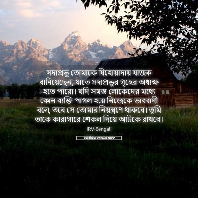 Picture 05 - যিৰিমিয়া 29:26 BENIRV - সদাপ্রভু তোমাকে - Bible Verse Picture